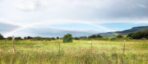 Rainbow Photo by Janis Lance